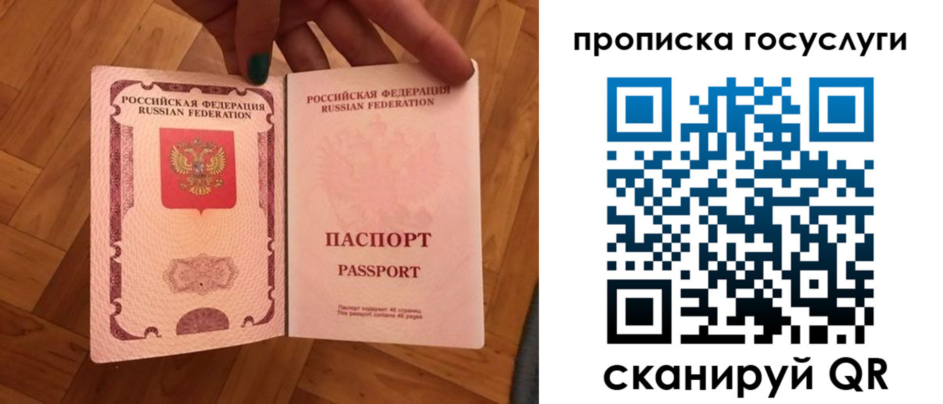 прописка в Ермолино