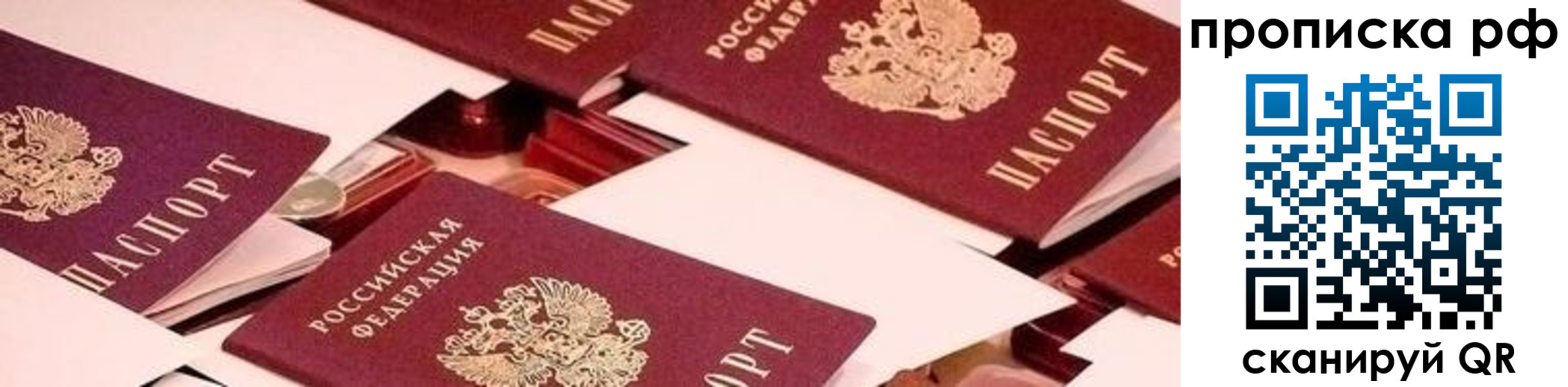 купить прописку в Ермолино